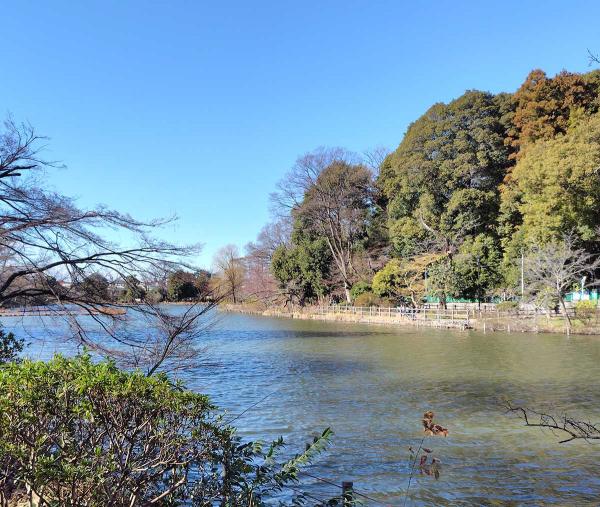 都立善福寺公園。緑豊かな憩いの場だ（2024年２月撮影）