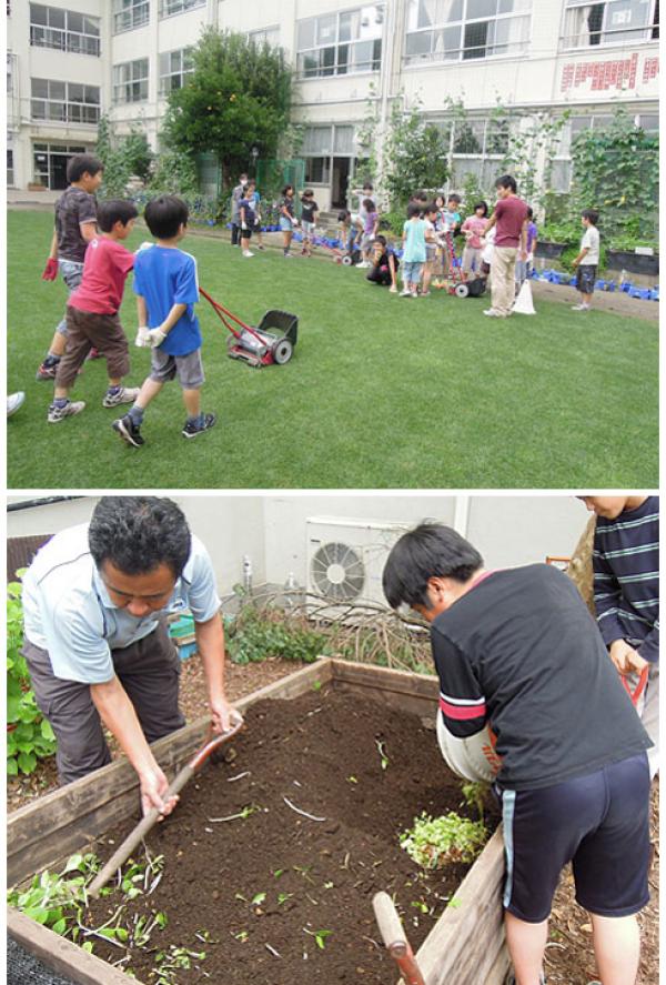 写真上：芝生刈り風景。グリーンカーテンも育てている（区立和泉小学校） <br>写真下：ミミズコンポスト作業（区立永福小学校） 