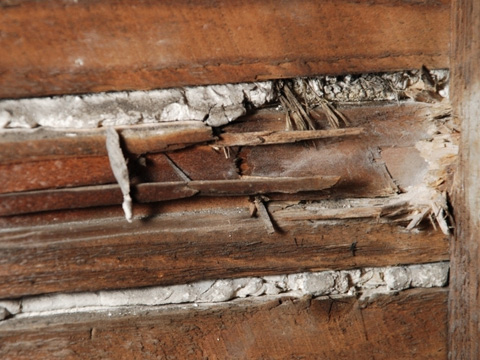 応接室側壁の破損状況（提供：杉並区立郷土博物館）