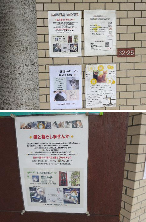 「猫と暮らしませんか」のポスター