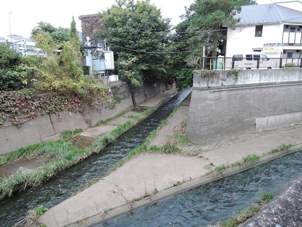 善福寺池から始まる善福寺川は、この辺で合流し神田川となる