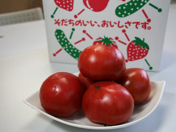 新鮮・安全な野菜が食べられる