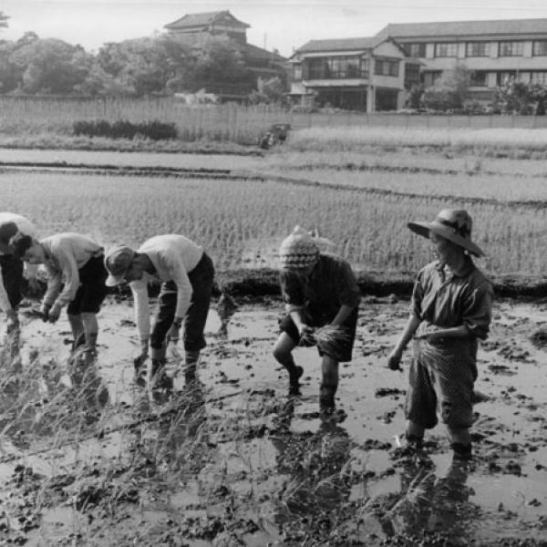 区内の田植え風景（昭和35年　場所不明）