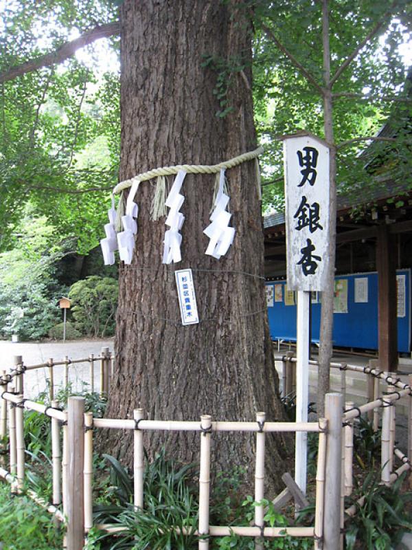 大宮八幡宮