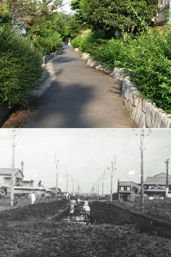 上：園川緑道　下：改修工事中の桃園川　大正13年7月撮影