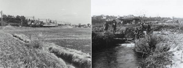 左：富士見丘駅周辺昭 和30年撮影　右：神田川の堰（永福1丁目） 昭和16年撮影<br>（杉並区立郷土博物館所蔵）