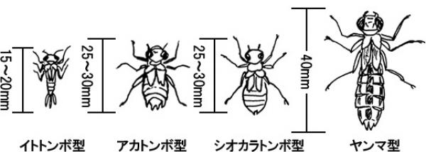 ヤゴのイラスト