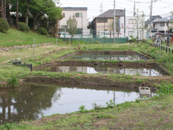 区立柏の宮公園