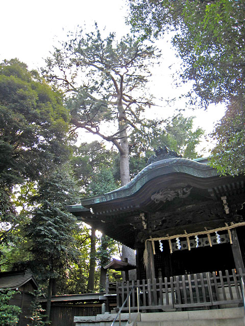 和泉熊野神社