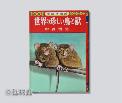 『少年博物館　世界の珍しい鳥と獣』
