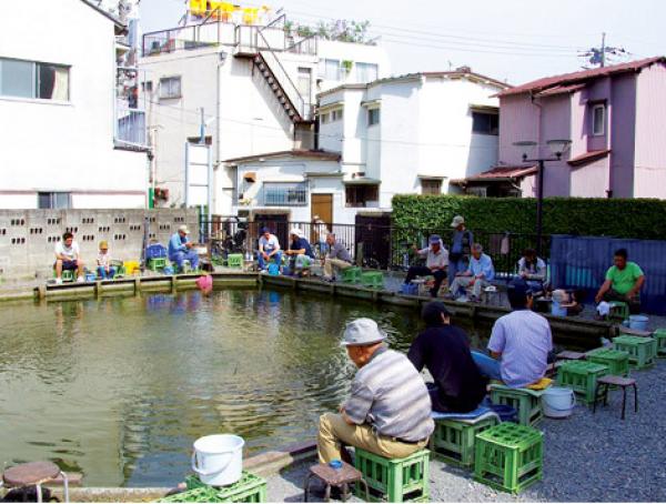 都会の喧噪を忘れるようなのどかな光景