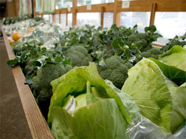 販売所の野菜陳列棚