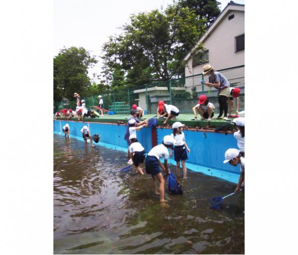 杉並第七小学校の活動風景