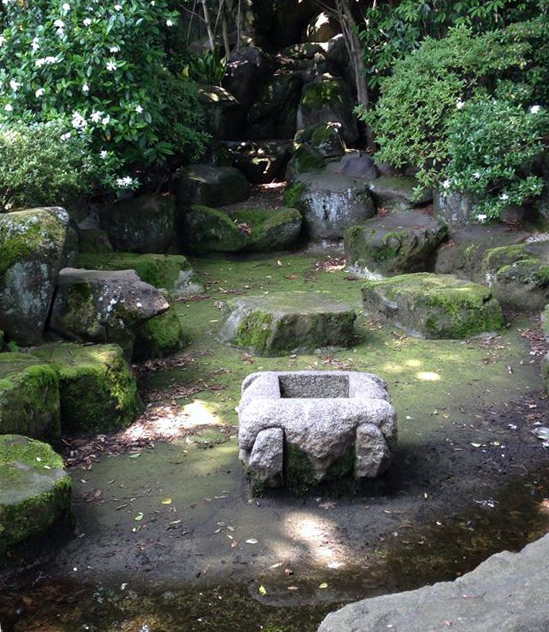 回遊可能な池。奥にある湧き水跡も近くから見られる