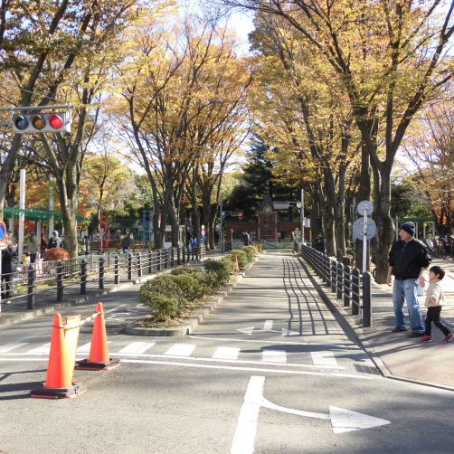 ケヤキ並木が美しいメインストリート