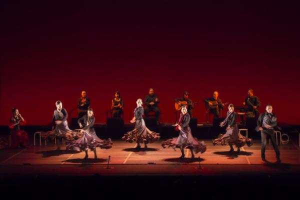 なかのZERO大ホールで開催された、フラメンコスタジオ・マジョール30回記念発表会での群舞（写真提供：鈴木眞澄さん）