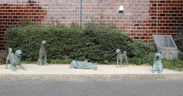 中野区役所そばにある犬屋敷の記念碑