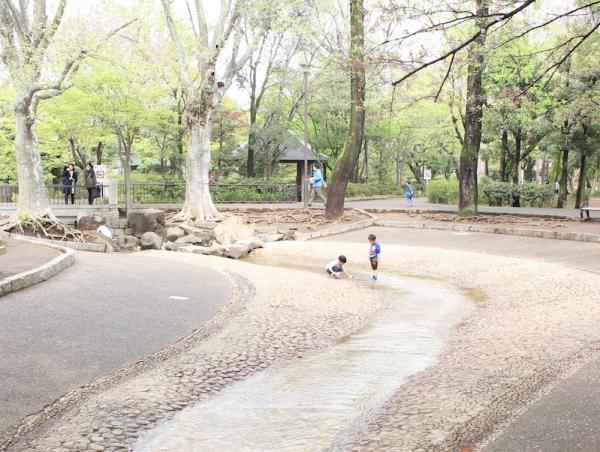 子供たちに人気の下流の流れ