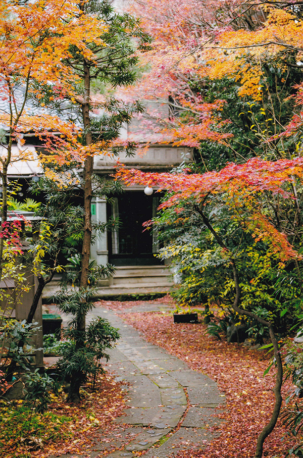 季節感に満ちた大河原家の庭（写真提供：大河原家）