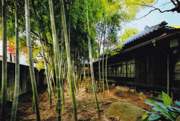 当時の面影をとどめる緑豊かな庭（写真提供：大河原家）