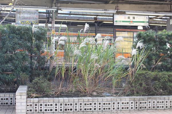 荻窪駅北口ロータリーにある荻