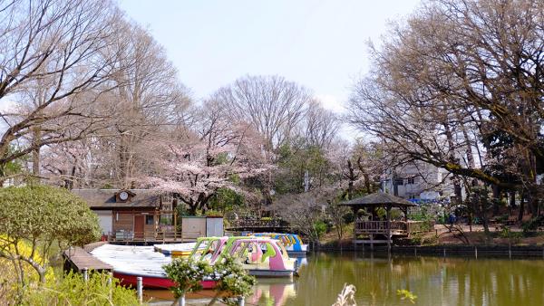 都立善福寺公園