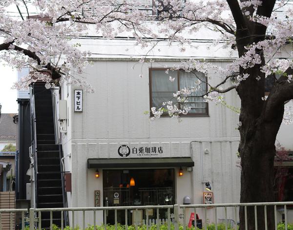 桜の季節の店舗外観。コーヒーはテイクアウトもできるので、神田川を散策しながらでも味わえる