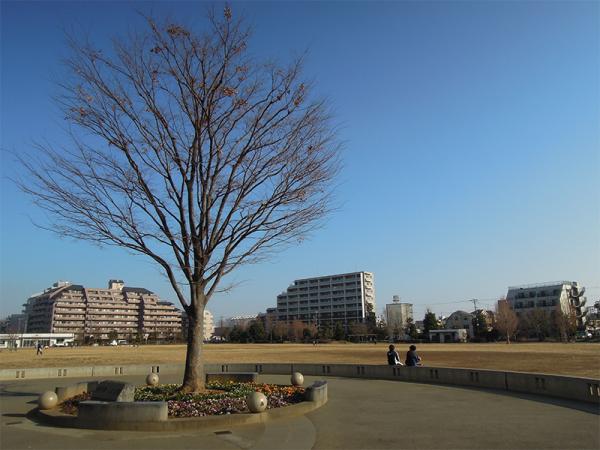 広々とした「区立桃井原っぱ公園」