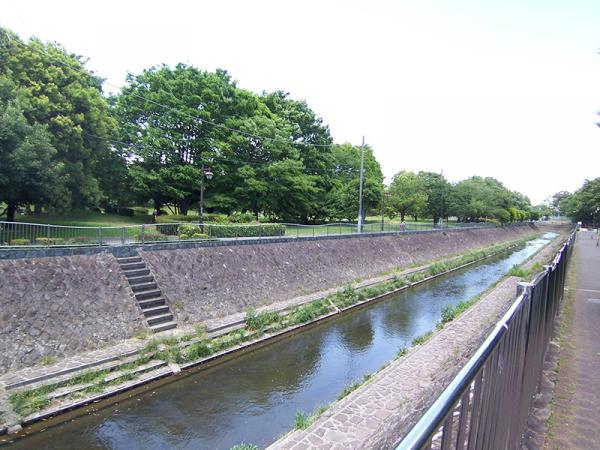 善福寺川と和田堀公園