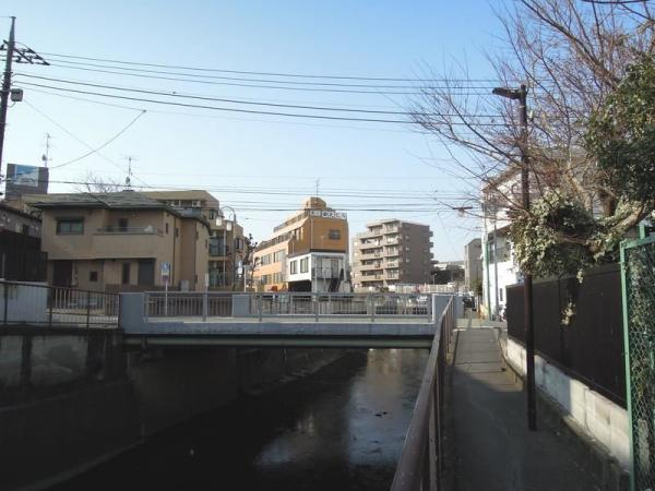 南荻窪を流れる善福寺川。シェアハウス小助川は、この川沿いの角地にあるという設定だ