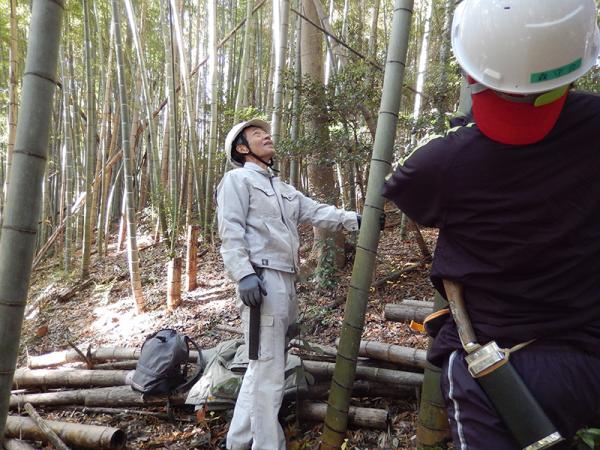 森林ボランティア育成講座で活動する様子（写真提供：すぎなみ地域大学）