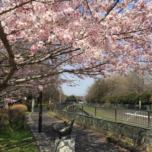 都立和田堀公園