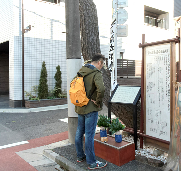 「鞍掛けの松」。高さがアパートの３階くらいまであり、写真に収まらないほど大きい