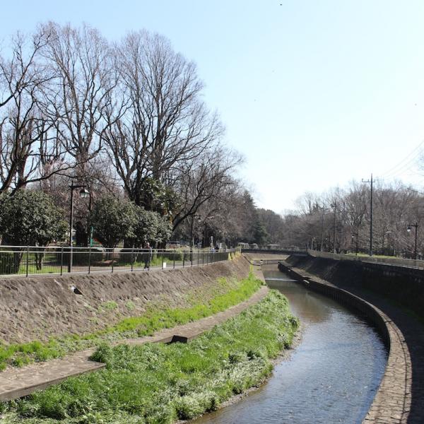 都立善福寺川緑地