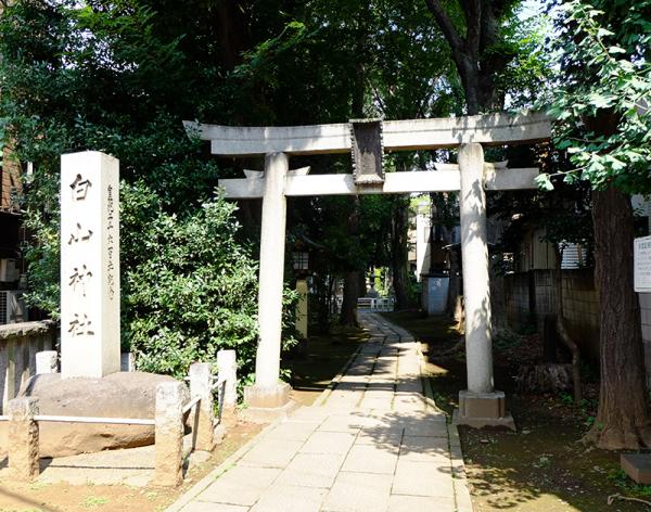 現在の荻窪白山神社