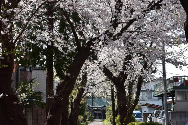 住宅地にあるので静かに観賞したい