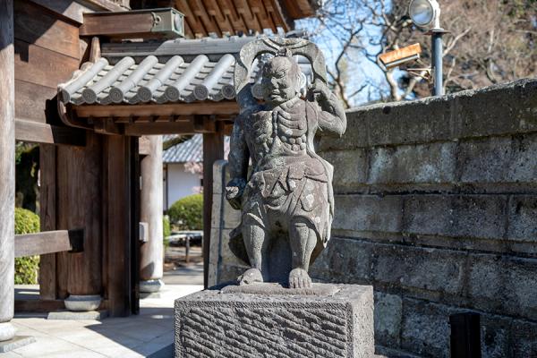 仁王像は門内に安置されていることが多いが、大圓寺の仁王像は門前でにらみをきかせている
