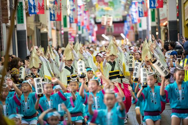 東京高円寺阿波おどり本大会（写真提供：東京高円寺阿波おどり ）