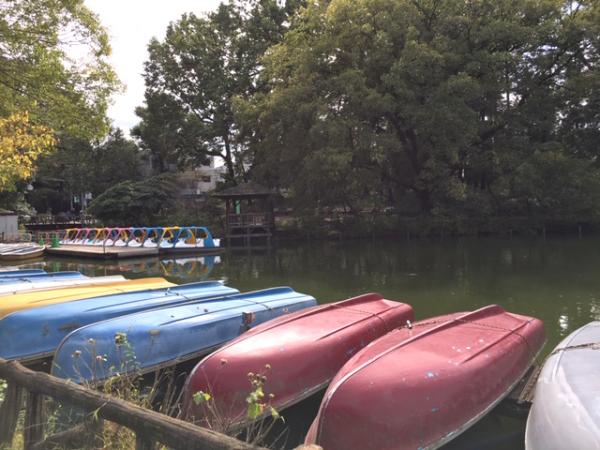 今やボートは、公園の池の定番だ。楽しみにする人も多い