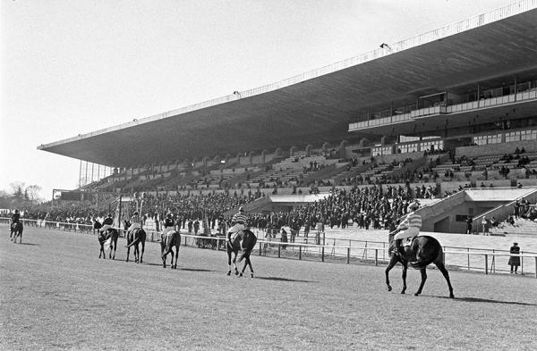 1956（昭和31）年に完成した、東洋一の中山競馬場マンモススタンド、全長230ｍ（写真提供：日本中央競馬会）