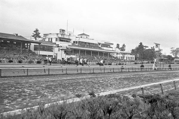 1954（昭和29）年、改修前の中山競馬場（写真提供：日本中央競馬会）