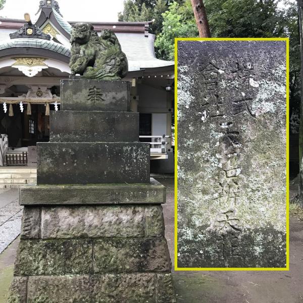 天沼八幡神社の狛犬。台座の裏に「株式会社 天沼弁天荘」の文字が刻まれている