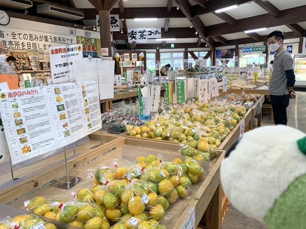 南伊豆町では一年を通じてかんきつ類を栽培している。「南伊豆湯の花」にも、さまざまな種類がずらり