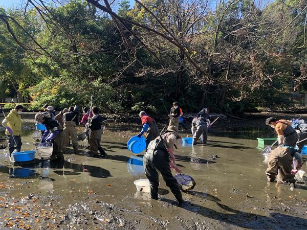 約3,400ｔ（25ｍプール約6杯分）の水が抜かれた和田堀池。水は、池と善福寺川をつなぐ堰（せき）を開けて川に放水したほか、ポンプを使って抜いたそうだ