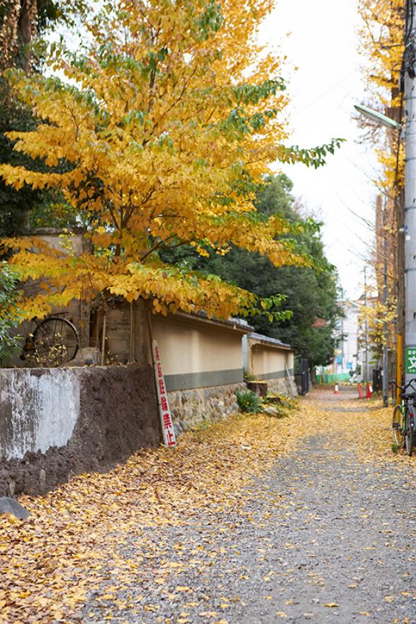 お屋敷の残る阿佐谷北の一角。この場所で「あさがや古道アート市場」開催を予定していた