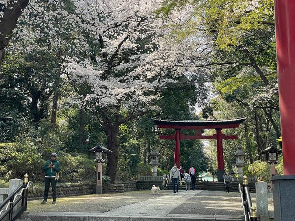 （撮影：2021年3月26日）