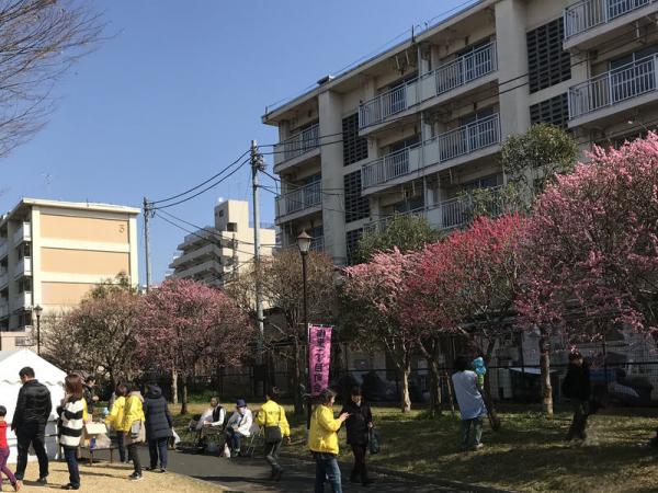 2019（平成31）年の「梅里まつり」の様子