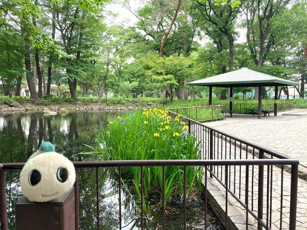 池の横には、休憩にぴったりのあずま屋もある