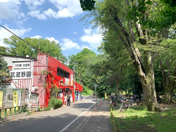 緑豊かな都立和田堀公園と、釣り堀「武蔵野園」