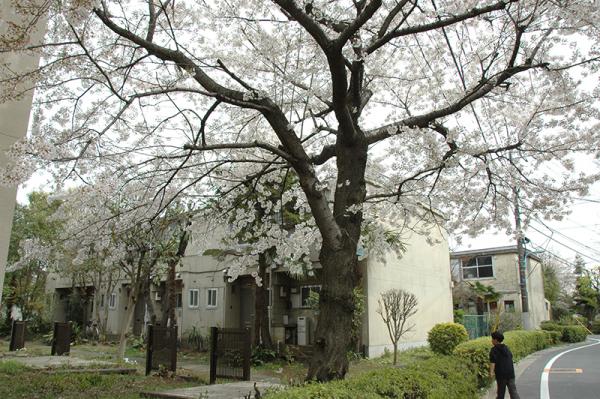 在りし日の阿佐ヶ谷住宅